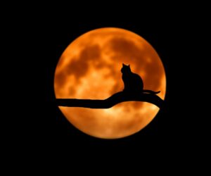 vrijdag de 13de van ongeluksdag naar geluksdag